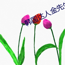 韩国达人(rén)金先(xiān)生酒店