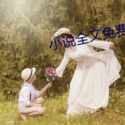 小说全文免费阅读无(無)弹窗