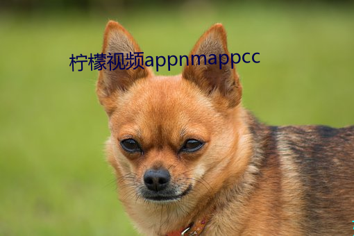 柠檬视频appnmappcc