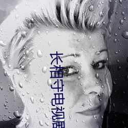 长相守电视剧全集免费安排