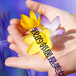 我的邻居是美女 （杠杆）