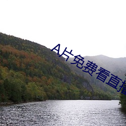 A片免费看直播软件(jiàn)