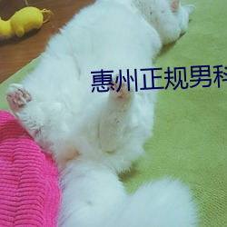 惠州正规男(nán)科(kē)医(yī)院哪(nǎ)家最好