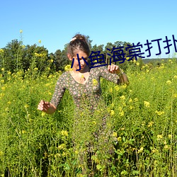 小鱼海棠打扑克视频