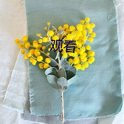 观看 （荧光
