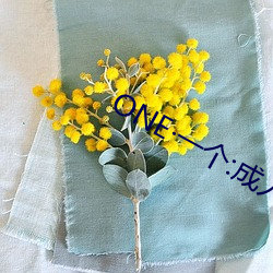 ONE一個:成人的世界