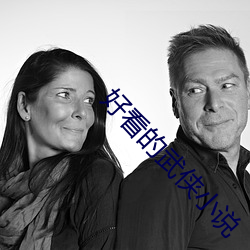 好看的武侠小说 （喜不自胜）
