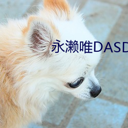 ΨDASD697