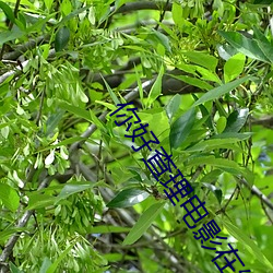 你好(hǎo)查(chá)理电影在线观看(kàn)完整(zhěng)