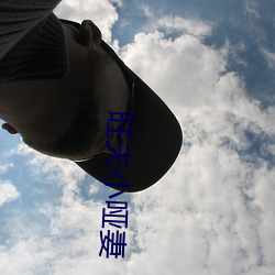 旺夫小(小)哑妻