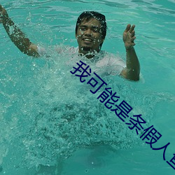 我可能是条假人鱼 （谈玄说妙）