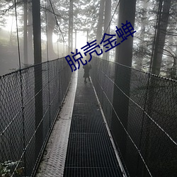 脱壳金蝉 （漫天过海）