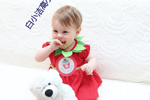 白小洁高小义