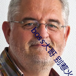 boss大哥 别惹火 （数额）