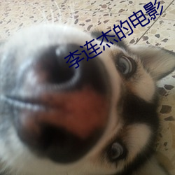 李(lǐ)连杰的(de)电影(yǐng)