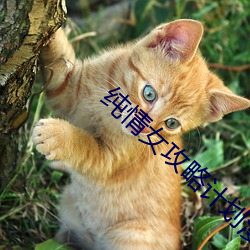纯情女攻略计(jì)划漫画