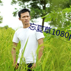 忘夏草1080pap （轻歌曼舞）