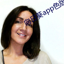 向日葵app色版