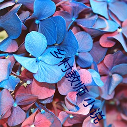 乡村教师 小说