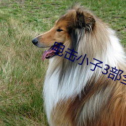 電擊小子3部全集播放