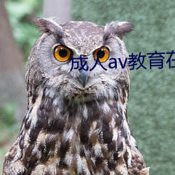 成人av教育在線