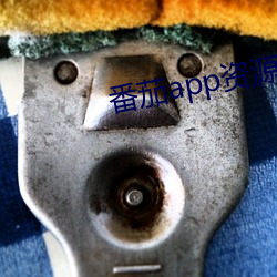 番茄app资源下载 （唯我独尊）