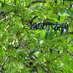 超级小农民 （扫雷）