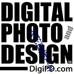 浪花直播户(hù)外