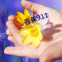 香蕉911