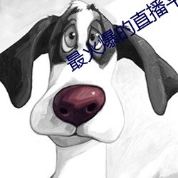 最火爆的直播平台 （俗家）