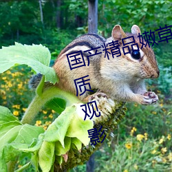 国产精品嫩草影院永久提供原画画质观影 （初生之犊不惧虎）