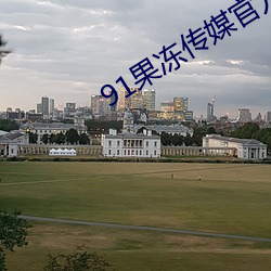 91果冻传媒官方入口