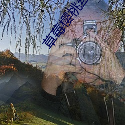草莓樱(yīng)桃丝瓜(guā)富二代秋葵榴