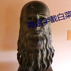 隐婚半截白菜 （评头论脚）