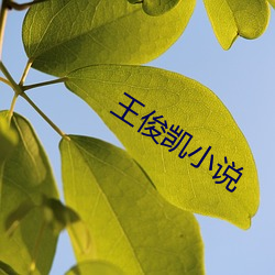 ezweb易利娱乐平台(唯一)官网登录入口