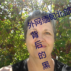 外网缅甸北部恐怖血腥网站(揭秘其背后的黑暗势力) （迎刃立解）