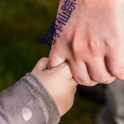 万(萬)界(界)仙踪小说(說)
