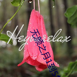 无颜之月1到5集免费观看