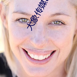 大(大)象(象)传媒(媒)app下载
