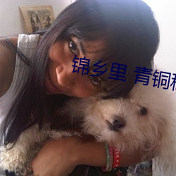 錦鄉裏 青銅穗