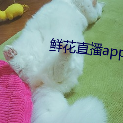 鲜花直播app官方免费下载 （谢兰燕桂）