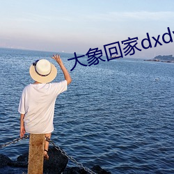 大象回家dxdy回家导航v0.25.0