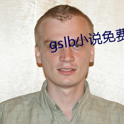 gslb小说免费(fèi)阅(yuè)读