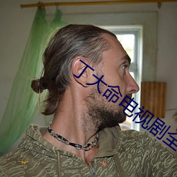 丁大命电视剧全集免费观看