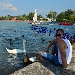 δʮ鶻ý