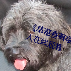 《草莓香蕉樱桃黄瓜丝瓜榴莲绿巨人在线观看 （深文附会）