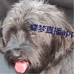 蝶梦直(zhí)播app