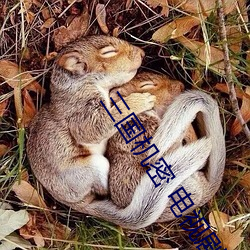 三(sān)国机密 电(diàn)视剧