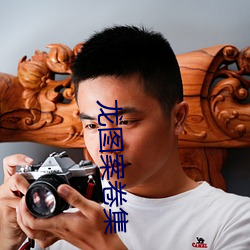 龙图(圖)案卷集