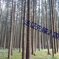 法证(證)先锋2 国语
